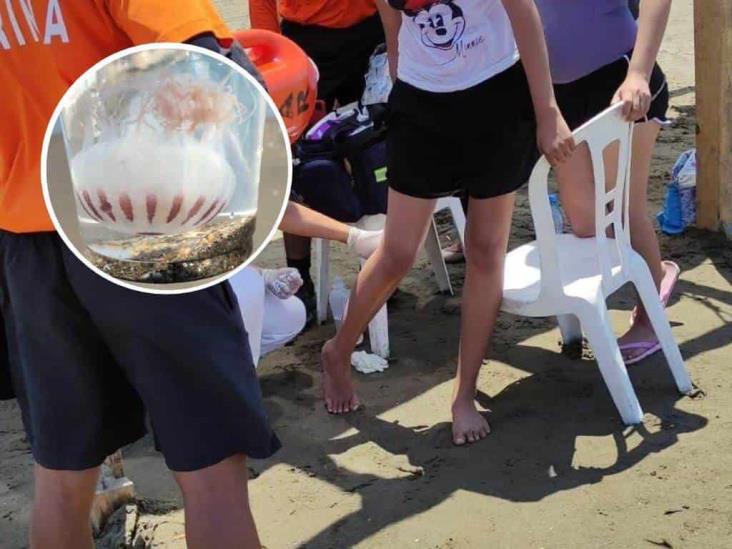 Contacto con medusas manda al hospital a 10 bañistas en playa de Coatzacoalcos; PC coloca banderas para alertar a los turistas