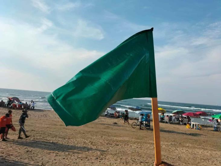 Contacto con medusas manda al hospital a 10 bañistas en playa de Coatzacoalcos; PC coloca banderas para alertar a los turistas