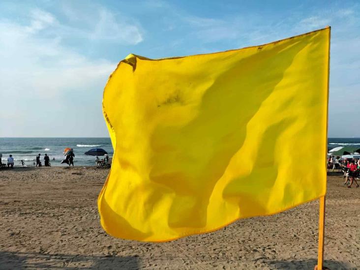 Contacto con medusas manda al hospital a 10 bañistas en playa de Coatzacoalcos; PC coloca banderas para alertar a los turistas