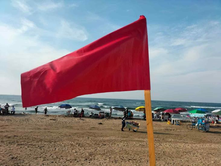 Contacto con medusas manda al hospital a 10 bañistas en playa de Coatzacoalcos; PC coloca banderas para alertar a los turistas