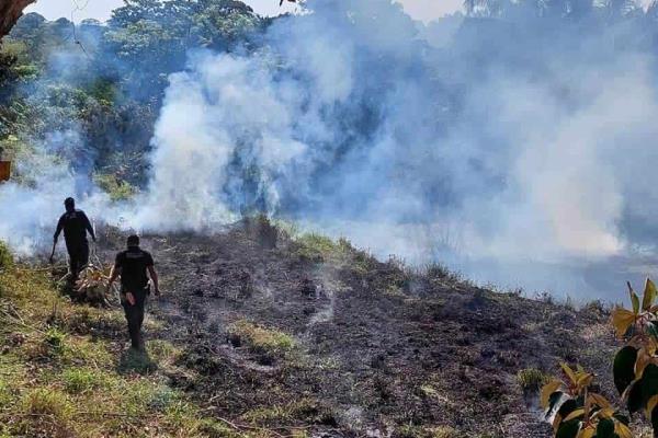 Incendios del 2023 ya superaron el daño registrado en temporada 2022
