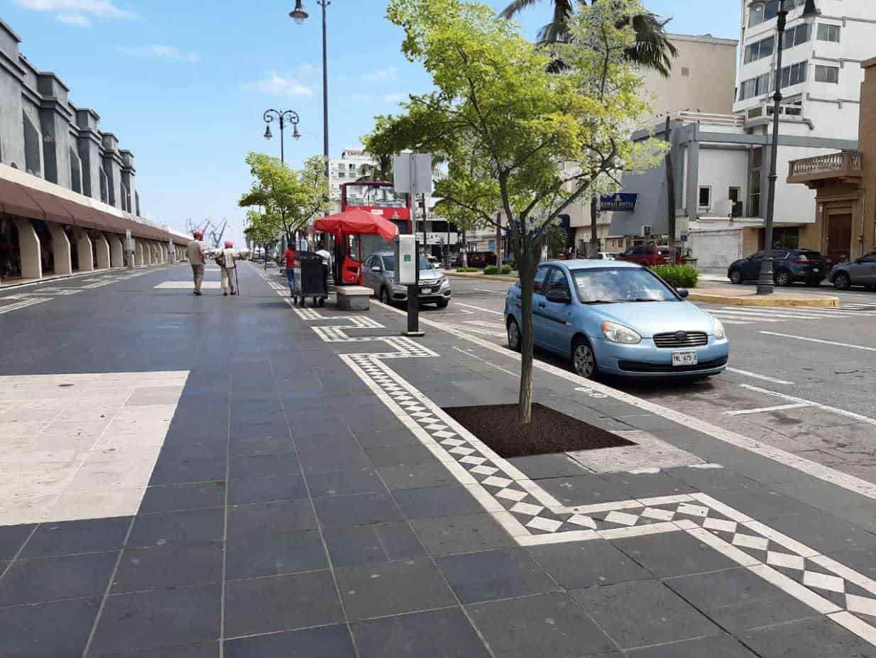 Buscan reforestar el Malecón de Veracruz