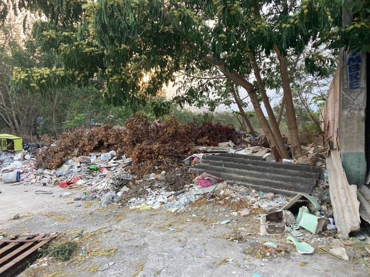 Convierten en basurero los terrenos en fraccionamiento Pinos, en Veracruz