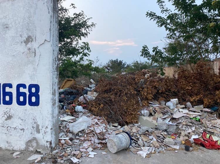 Convierten en basurero los terrenos en fraccionamiento Pinos, en Veracruz