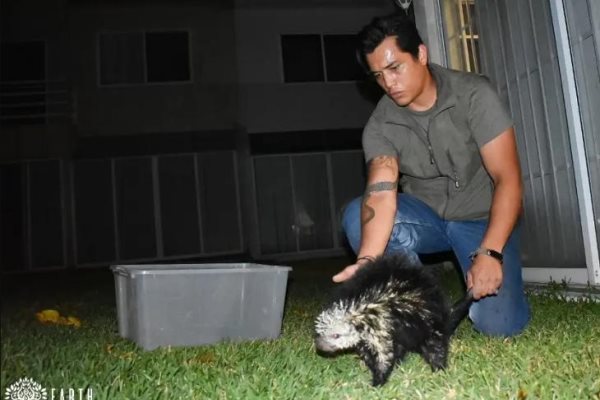 Earth Mission solicita apoyo para el rescate de vida silvestre en Veracruz