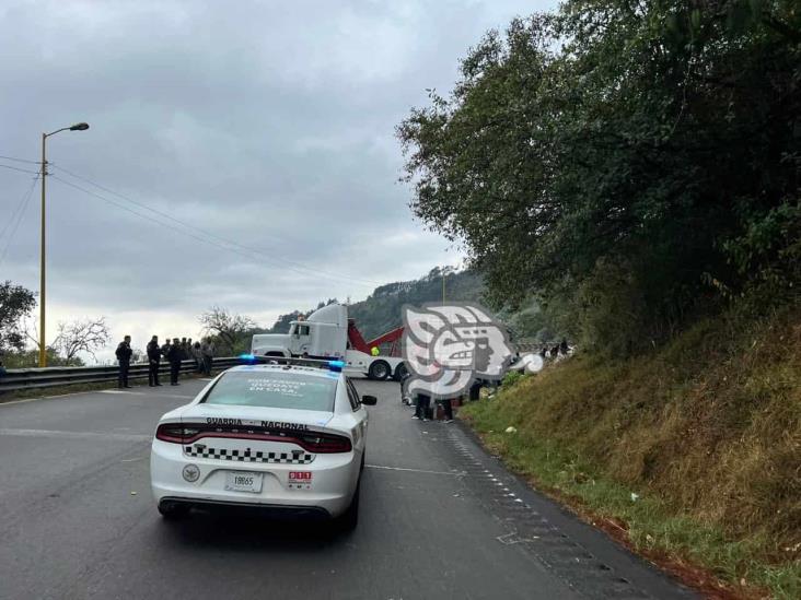 Vuelca Torton con piñas en las Cumbres de Maltrata y lo vacían rapiñeros