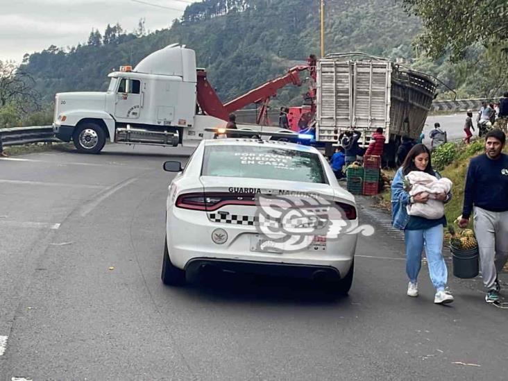 Vuelca Torton con piñas en las Cumbres de Maltrata y lo vacían rapiñeros