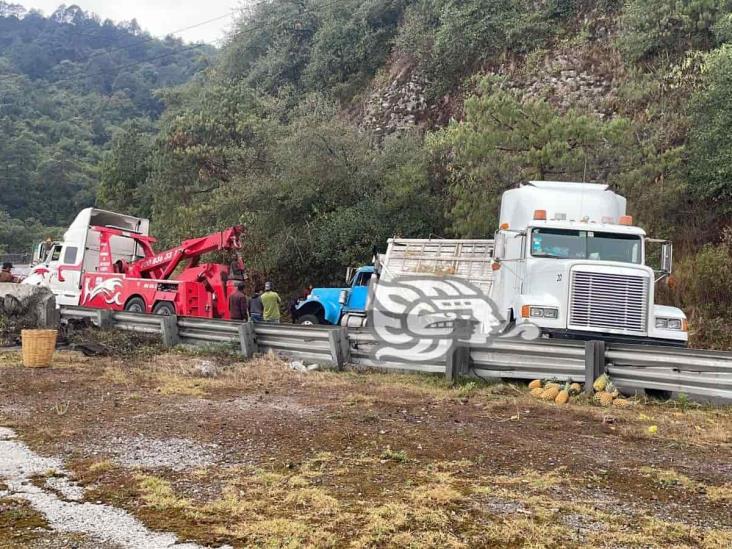 Vuelca Torton con piñas en las Cumbres de Maltrata y lo vacían rapiñeros