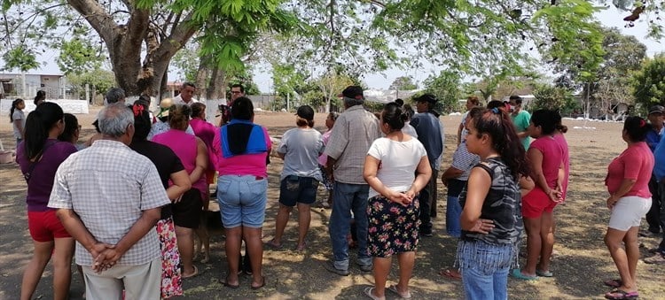 Denuncian nuevamente malos olores por granja de pollos en Paso de Ovejas