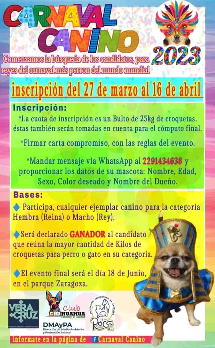 Realizarán Carnaval Canino en Veracruz para recolectar alimento para animales de La Roca