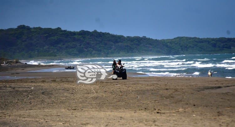 La sazón del istmo desde Playa Linda; frescura en mariscos (+Video)