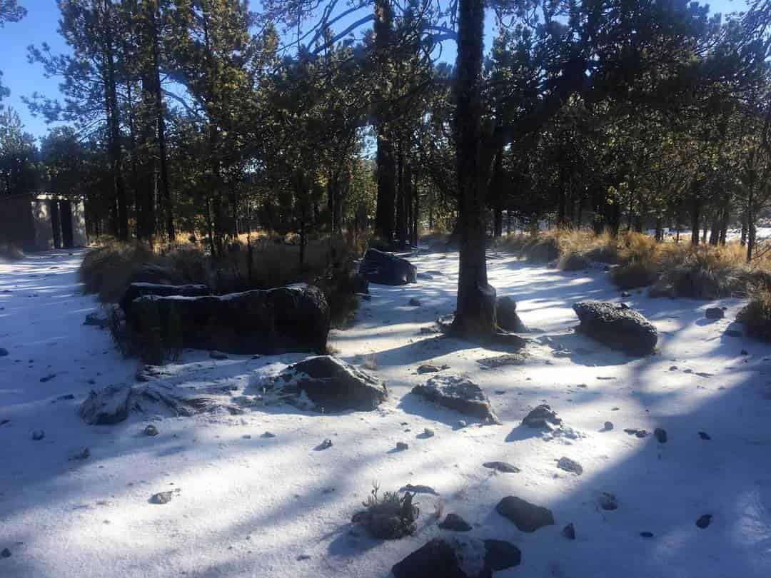 Cae nieve en el Cofre de Perote en plena Primavera