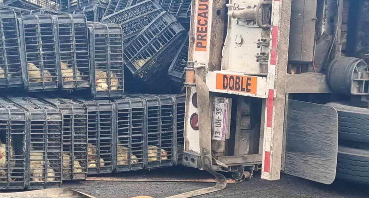 ¡Se salen los pollos! Vuelca tráiler en Cardel; se dirigía a la ciudad de Veracruz