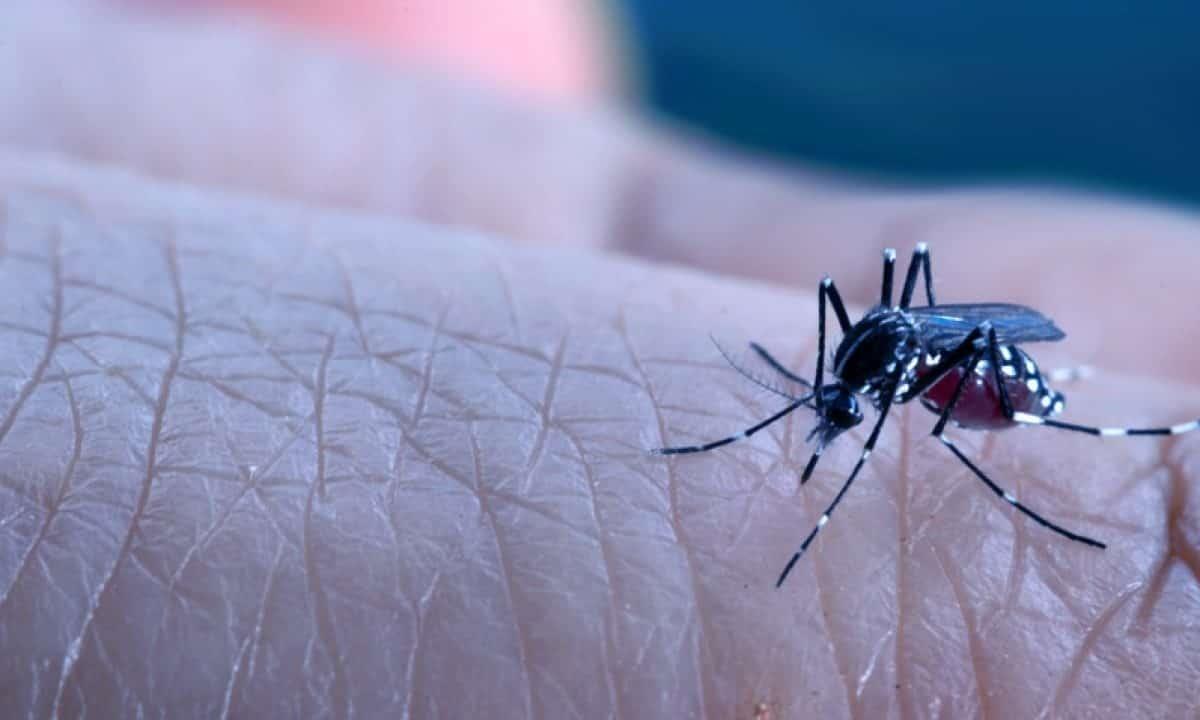 Se disparan casos de dengue en Veracruz