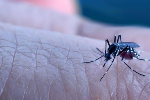 Veracruz se mantiene en tercer lugar por casos de dengue