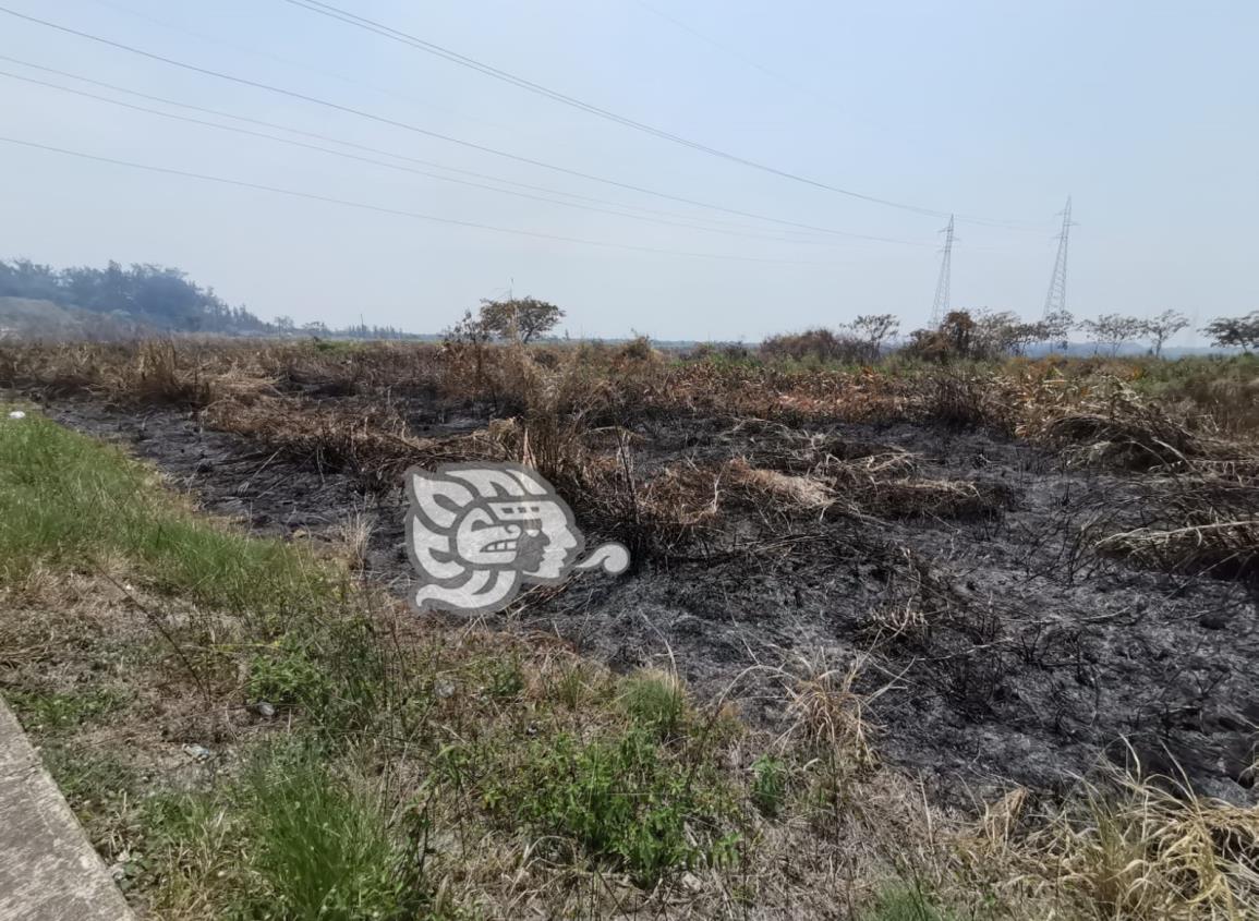 Animales ponzoñosos aumentan durante la temporada de calor: PC