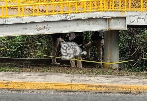 Hallan cadáver en descomposición en avenida Lázaro Cárdenas, en Xalapa
