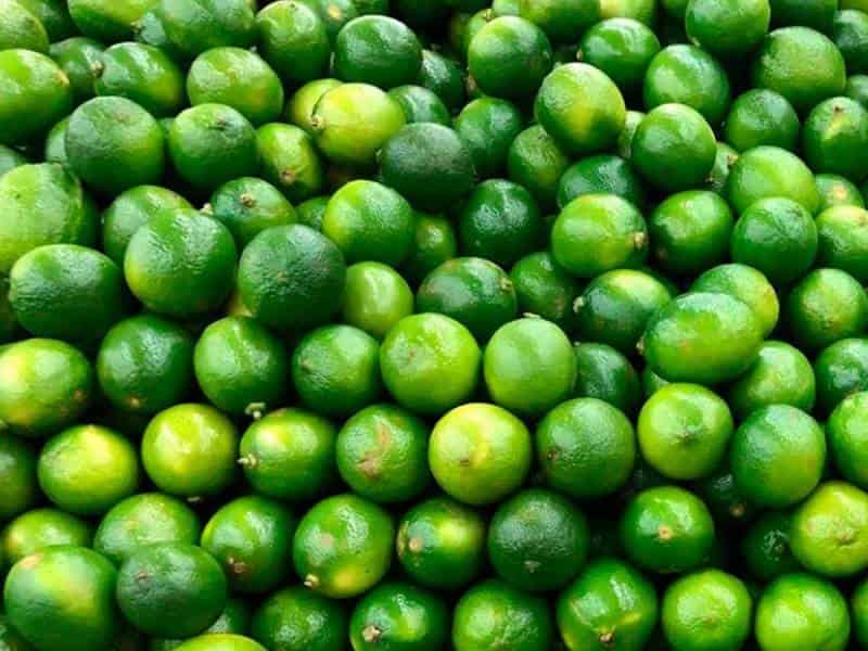 Limones y mangos de Veracruz valen 10 veces más en el extranjero