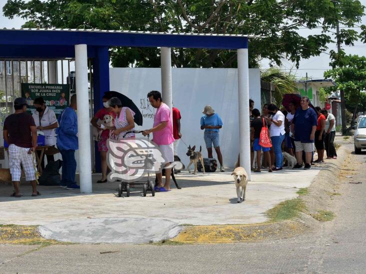 Inicia Jurisdicción XI con vacunación antirrábica en Coatzacoalcos