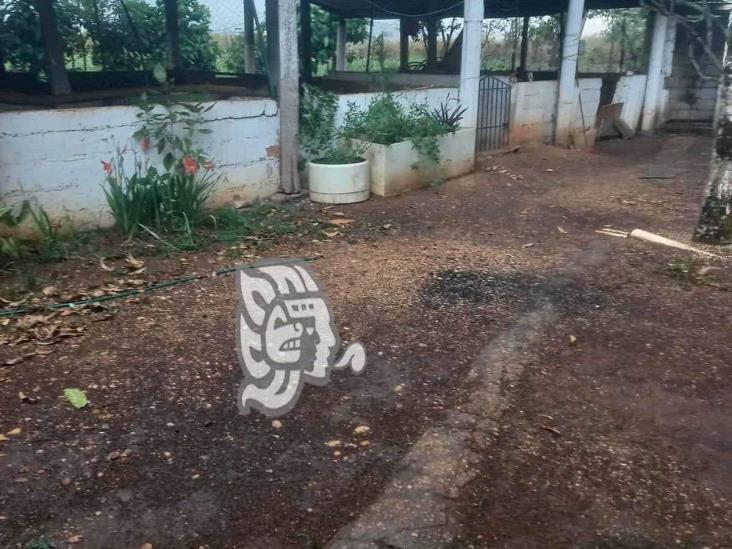 ¡Tregua tras calorón! sorprende lluvia y caída de granizo en Acayucan (+Video)