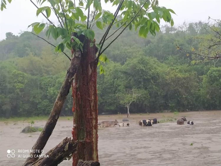 Alerta en Misantla por crecida de ríos aldeaños