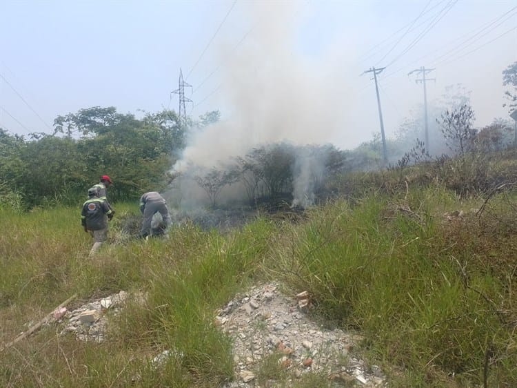 ¡Por altas temperaturas! arde pastizal en tramo Nanchital- Ixhuatlán del Sureste (+Video)