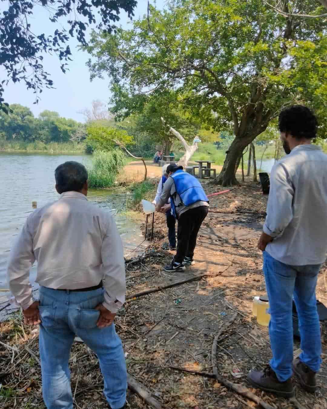 Ayuntamiento de Medellín investiga mortandad de peces en Puente Moreno