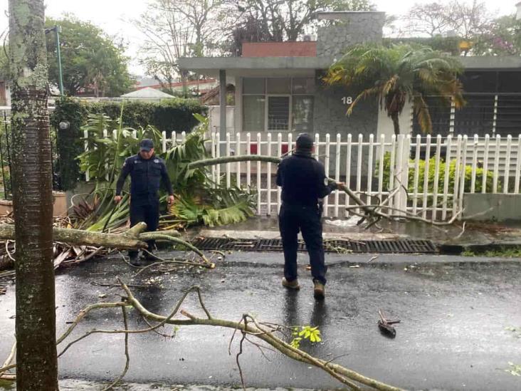 Tromba y granizada deja afectaciones en seis municipios de la región de Córdoba