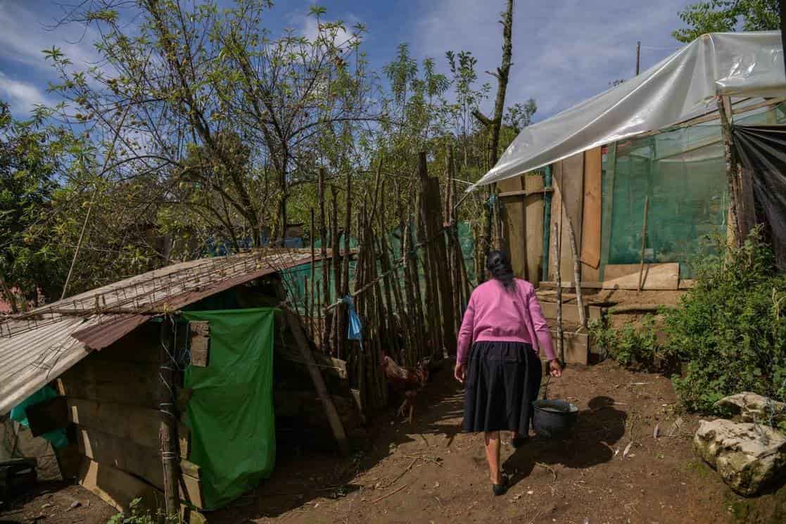 Veracruz, entre los 5 estados más pobres del país