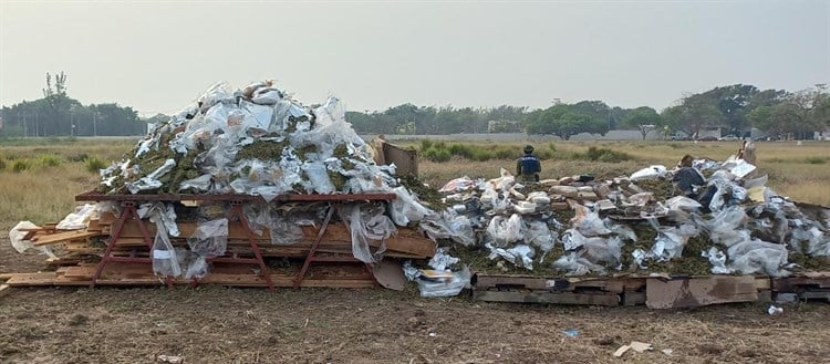 FGR y Marina incineran casi una tonelada de droga incautada en Veracruz