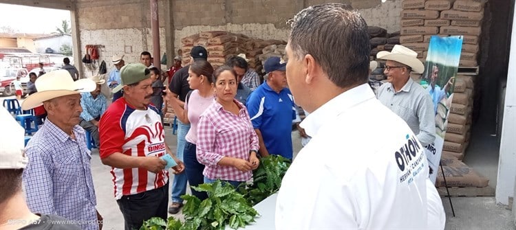 Entregan 18 mil plantas de café certificadas a productores de Misantla