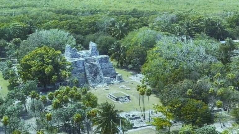 Tren Maya significa mostrar herencia de culturas milenarias: AMLO (+Video)