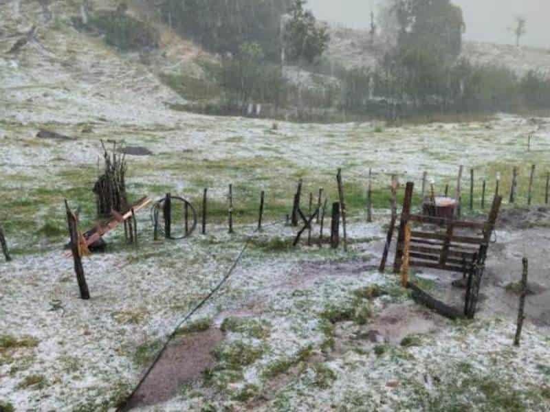 Granizada afecta al campo veracruzano: Sedarpa Veracruz