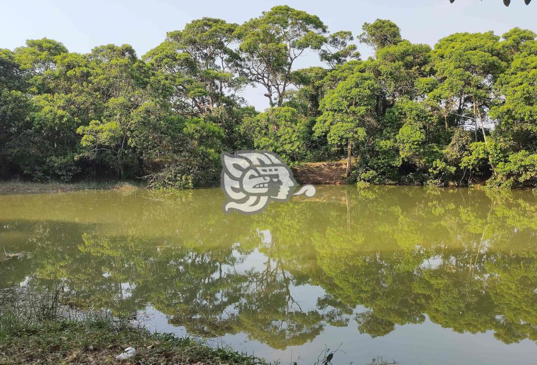 Menor muere ahogado en cuerpo de agua del sur de Veracruz