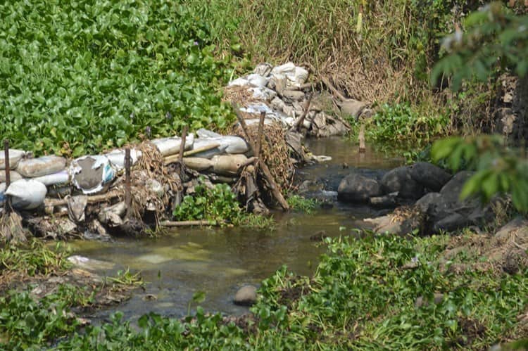 Al tercer mes de estiaje en Veracruz, río Jamapa se encuentra seco