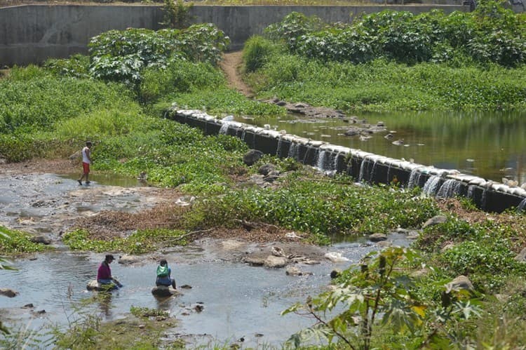 Vecinos de El Tejar sufren la sequía del río Jamapa