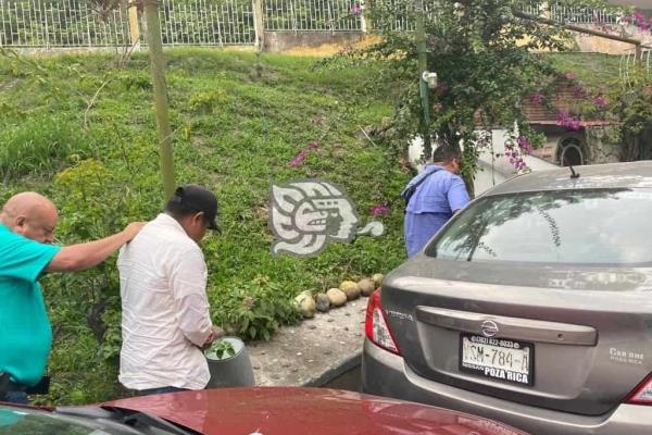 Presunto asesino de Estefany es recluido en Palma Sola