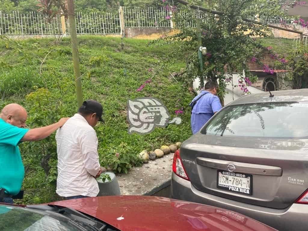 Más de 100 menores acusados de homicidio y feminicidio en Veracruz