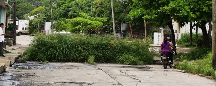 Maleza clausura tramo de la Anaya; calle lleva más de un año cerrada