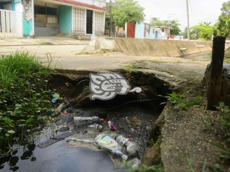 Maleza clausura tramo de la Anaya; calle lleva más de un año cerrada