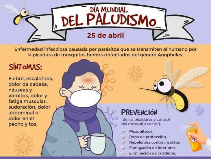 Esto recomienda el IMSS para prevenir el paludismo