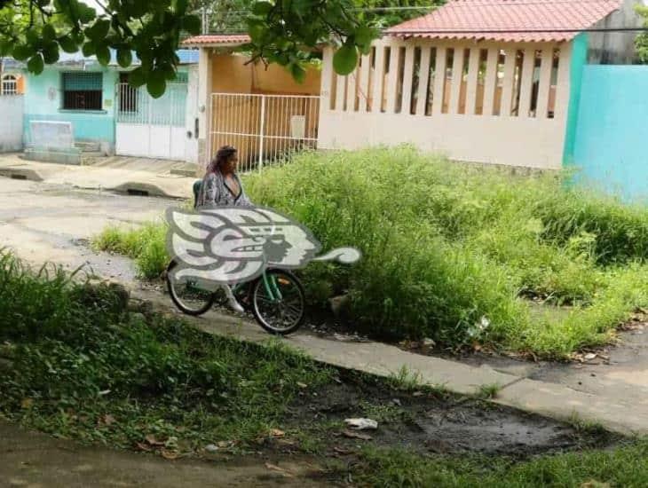 Maleza clausura tramo de la Anaya; calle lleva más de un año cerrada