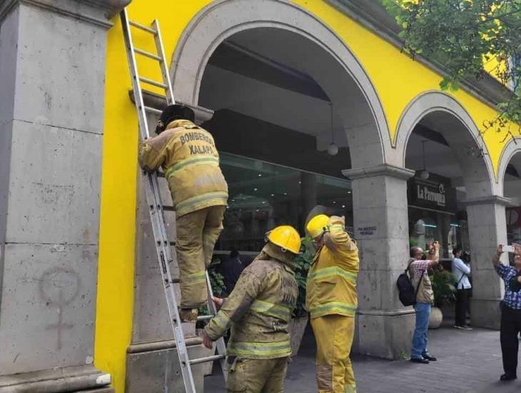 Reportan nueva fuga de gas en Café La Parroquia de Xalapa