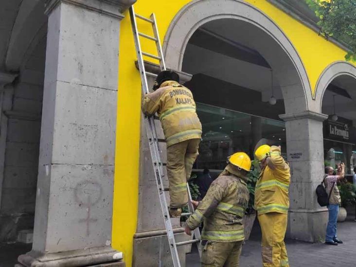 Movilización por reporte de fuga de gas en Café La Parroquia de Xalapa