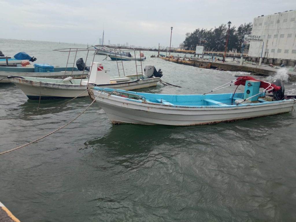 Cae producción pesquera en Veracruz; la contaminación lo tiene en jaque