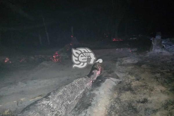 ¡Lamentable! Incendio fulmina 11 hectáreas en Texistepec; tres equinos murieron