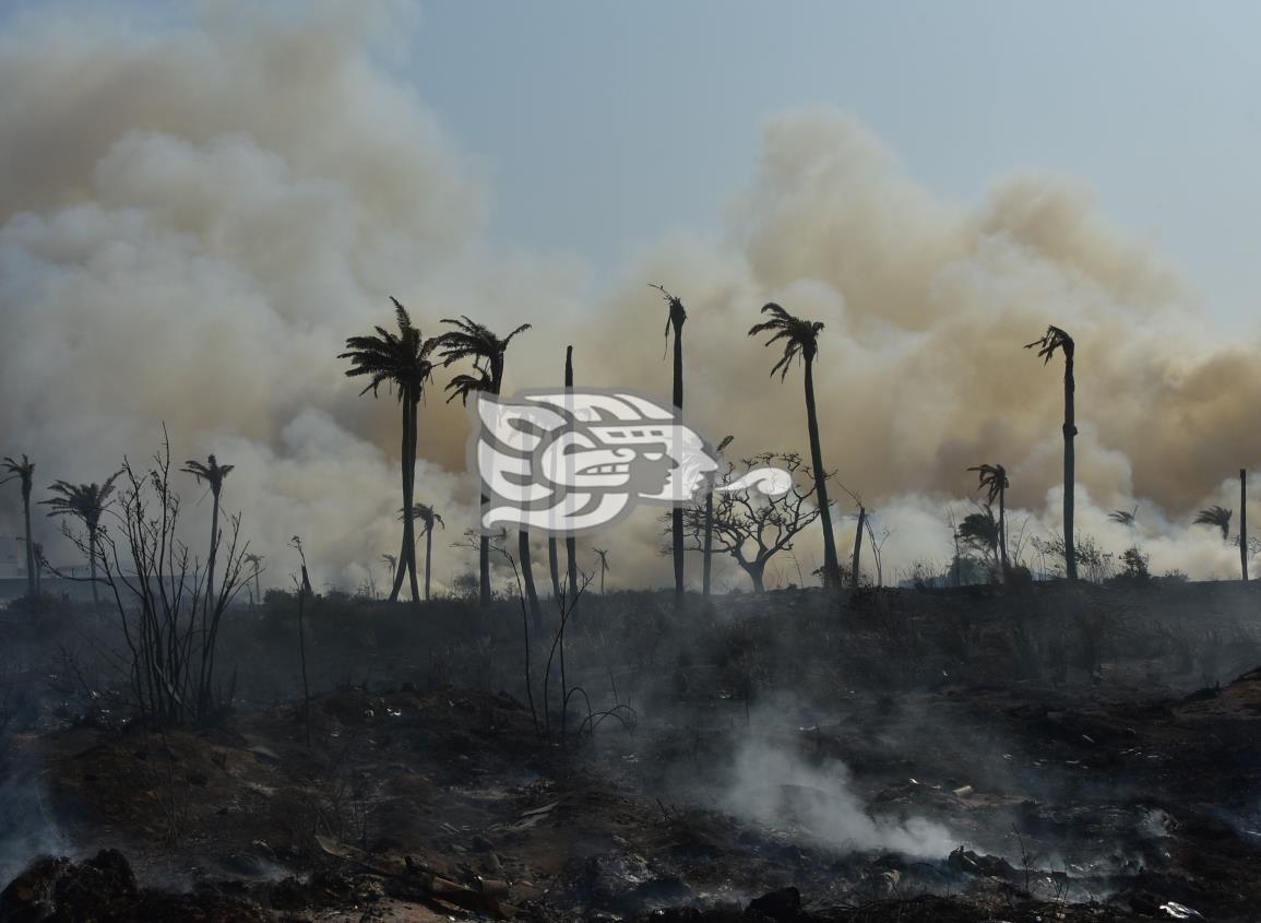 Asociación Civil lamentó que falta de conciencia sea la principal causa de incendios en pastizales