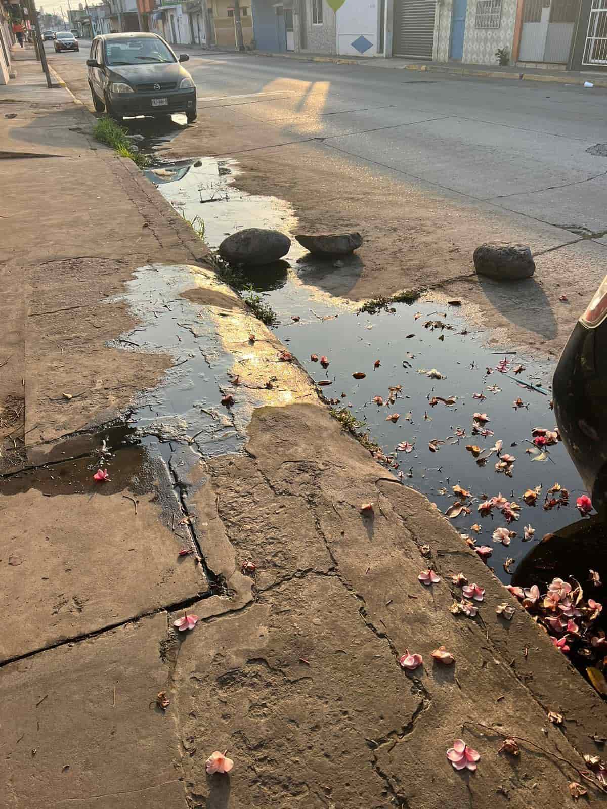 Vecinos se quejan de malos olores por una fuga de aguas negras en calles de Veracruz