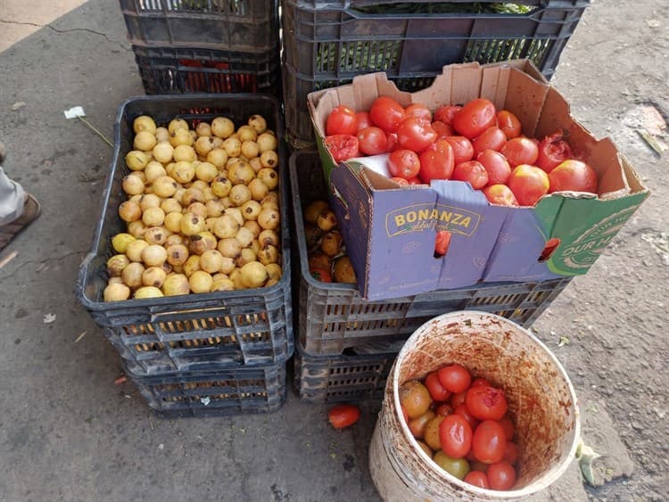 ¡Para ellos no es desperdicio! rescatan frutas y verduras en mercado de Veracruz