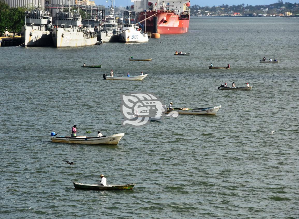 Anuncian fechas y zonas de veda temporal para la pesca de especies de camarón